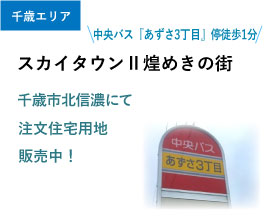 スカイタウンⅡ煌めきの街